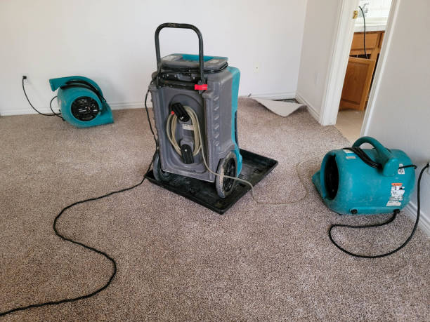 Trusted Alpine, NJ Water damage restoration Experts