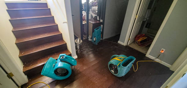 Water damage restoration experts in Alpine, NJ
