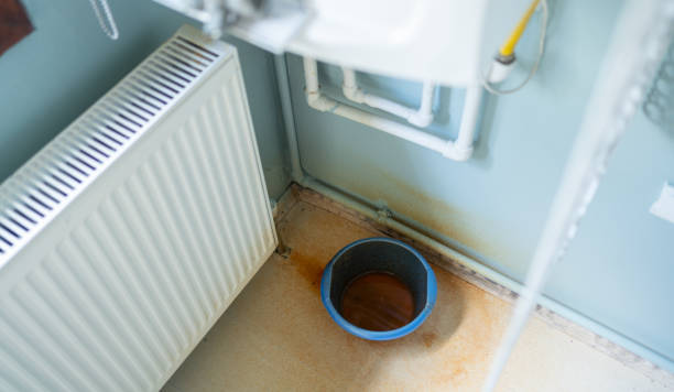 Best Carpet water damage restoration  in Alpine, NJ