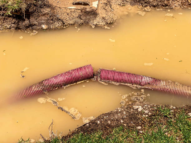 Best Water damage restoration near me  in Alpine, NJ